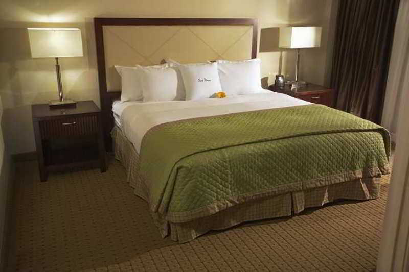 Doubletree By Hilton Tampa Rocky Point Waterfront Hotell Rum bild